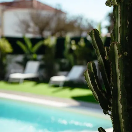 Cactus Santa Cruz (Oeste)